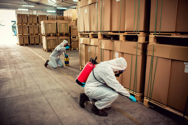 Best Local Pest Control Services  in Gunnison, CO