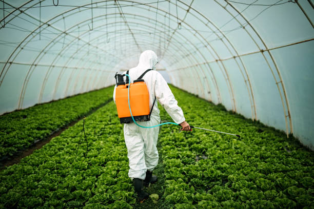 Best Affordable Pest Control Services  in Gunnison, CO