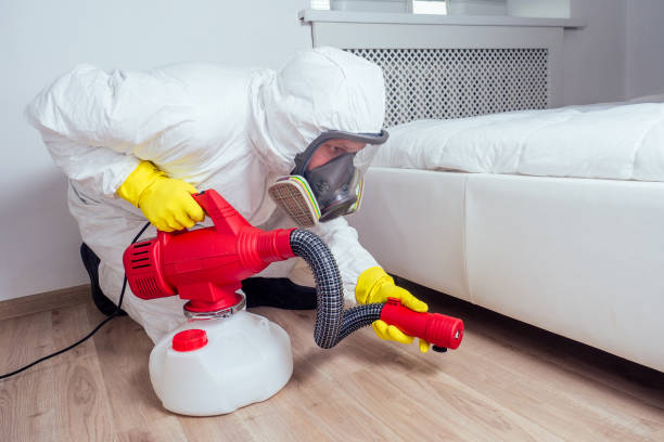 Best Affordable Pest Control Services  in Gunnison, CO
